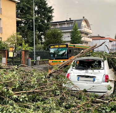 Emergenza Monza Palazzi scoperchiati e strage di alberi "Danni per milioni"