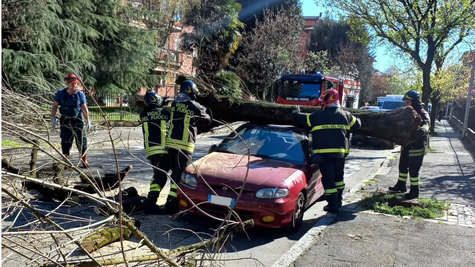 Un'auto colpita da un albero abbattuto dal vento in Martesana