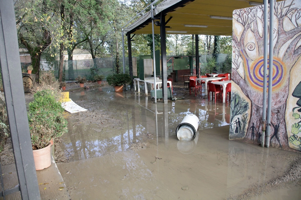 immagine di sfondo 34