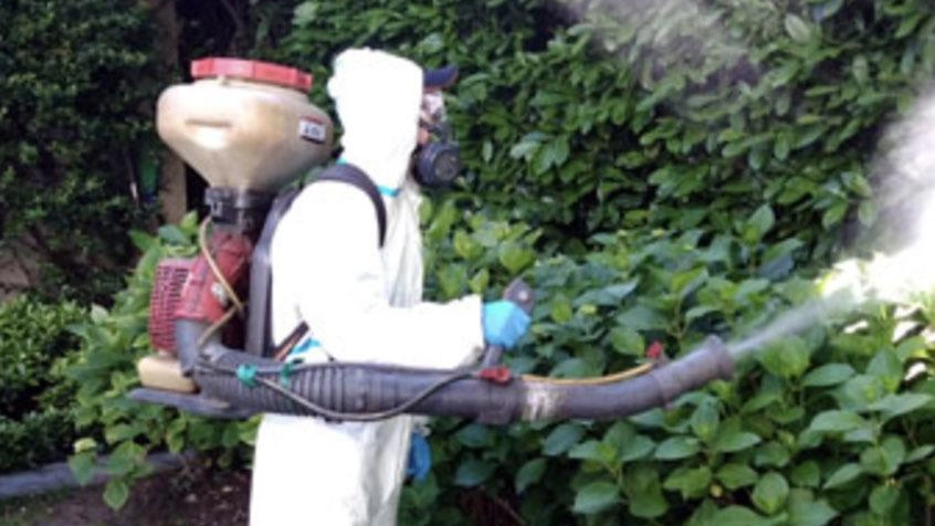 

"Disinfestazione straordinaria a Monza per caso di Dengue"