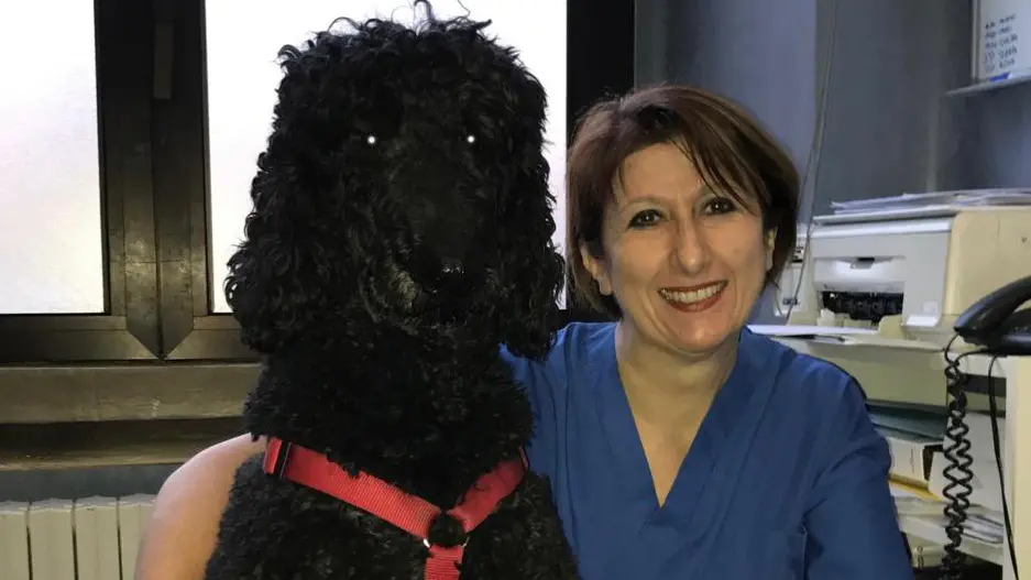 Paola Scarpa medico veterinario e direttrice della scuola di Patologia e Clinica di Lodi accanto al suo Zeno Paola Scarpa medico veterinario e direttrice della scuola di Patologia e Clinica di Lodi accanto al suo Zeno