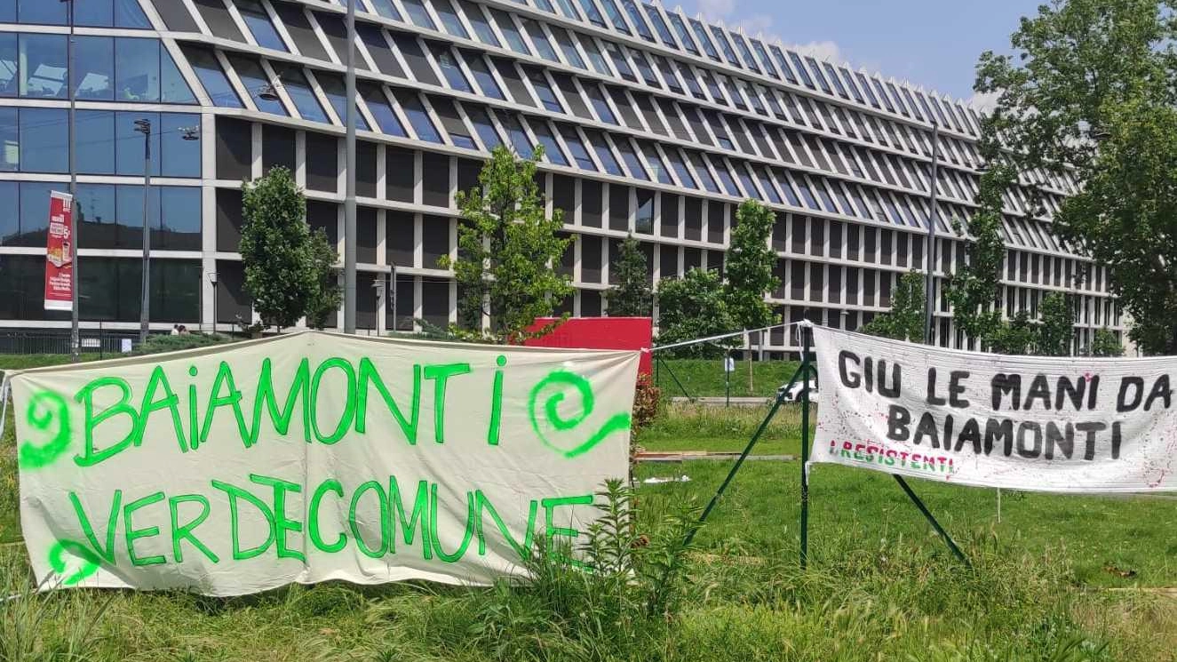 Glicine, ambientalisti ancora in piazza