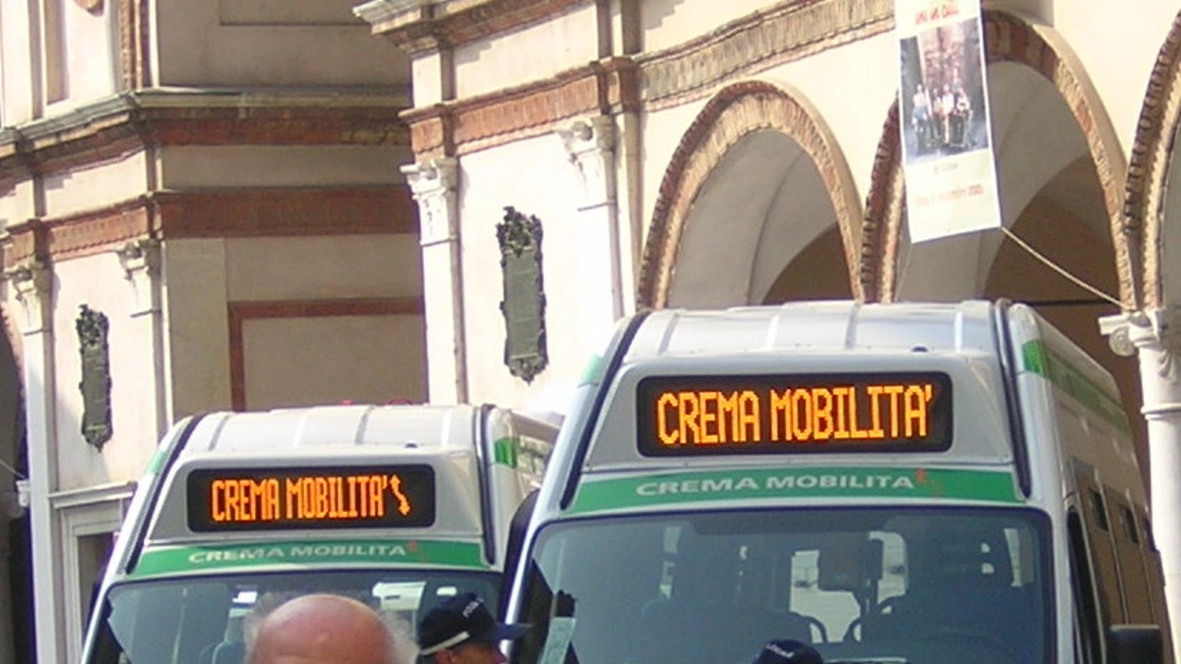 Gli autobus utilizzati per il servizio cittadino
