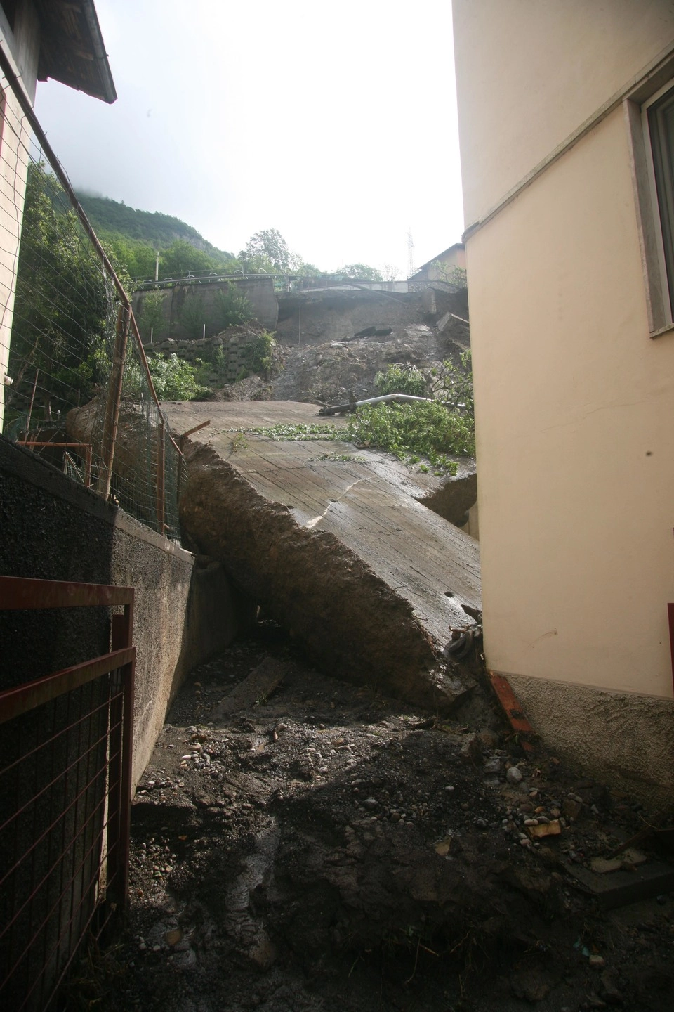 immagine di sfondo 2