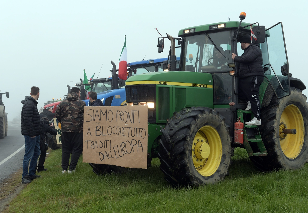 immagine di sfondo 3