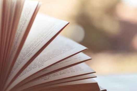 Festival di Letteratura Sociale di Firenze