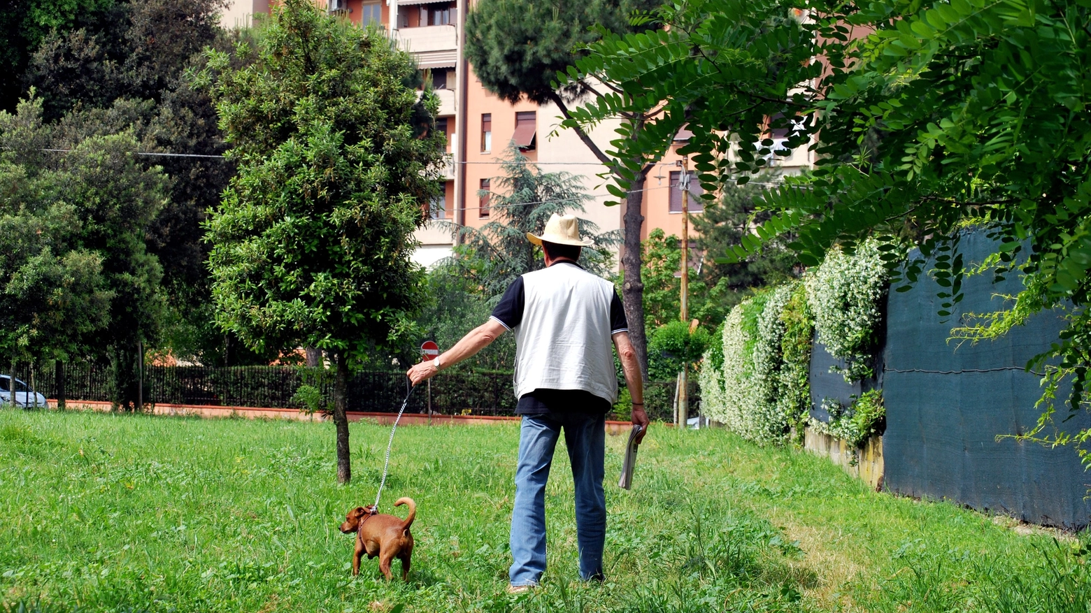 Un cane a spasso col suo padrone (foto di repertorio)