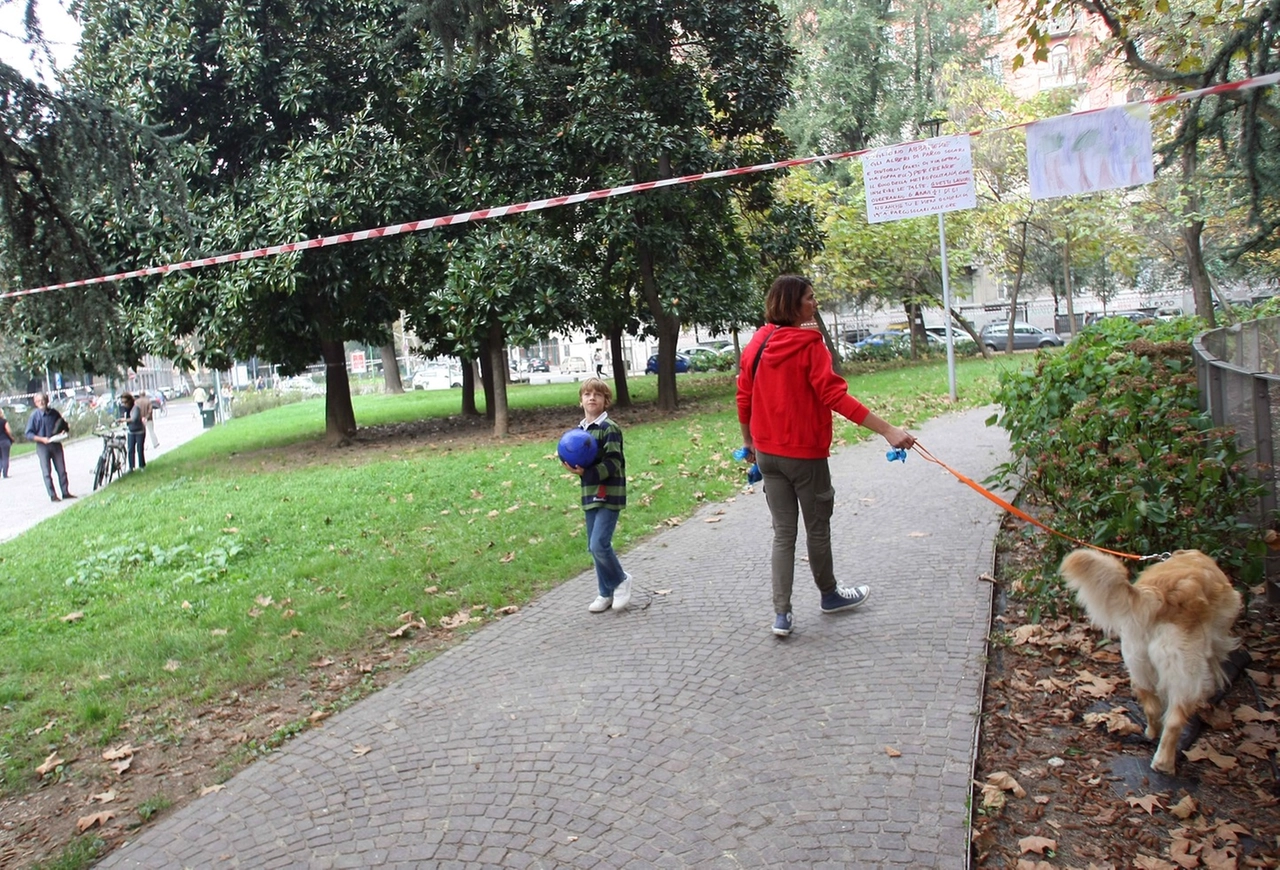 immagine di sfondo 12