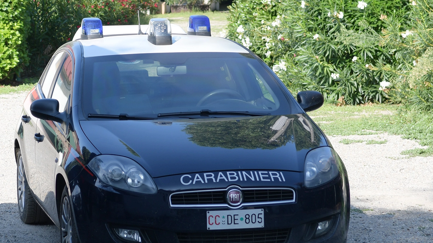 I carabinieri di Pioltello indagano sul caso