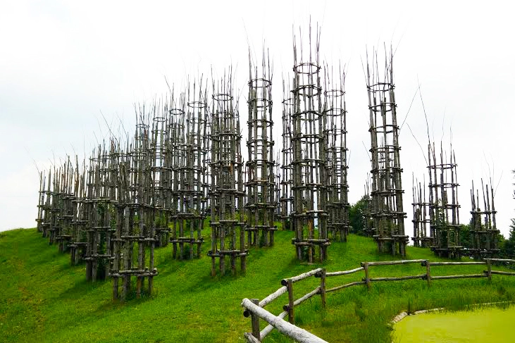Una cattedrale vegetale