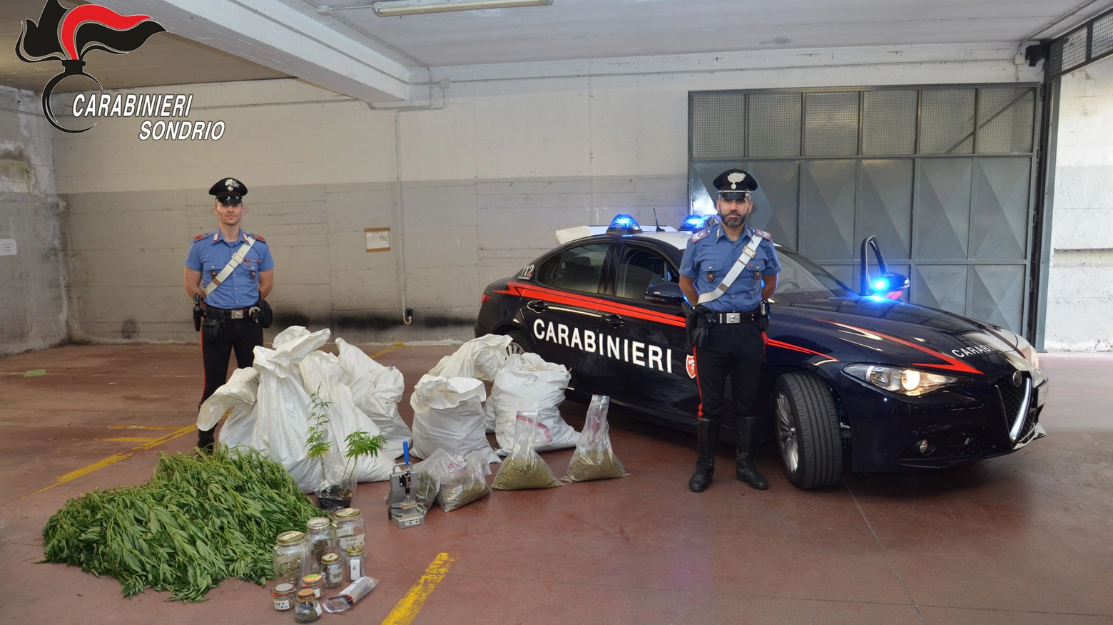 La marijuana e l'attrezzatura sequestrata dai carabinieri di Sondrio