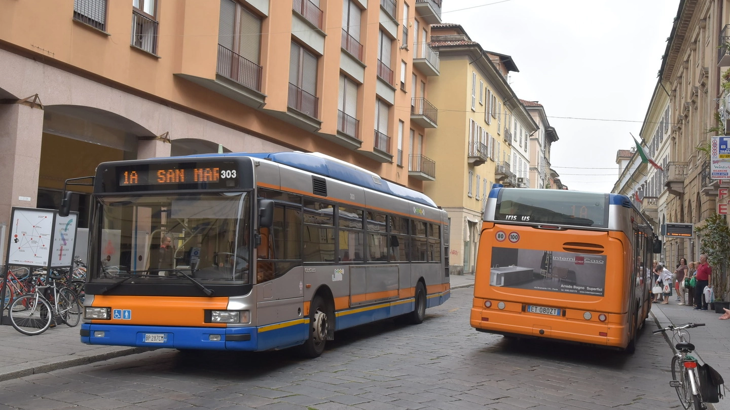 Bus a Pavia (Archivio)