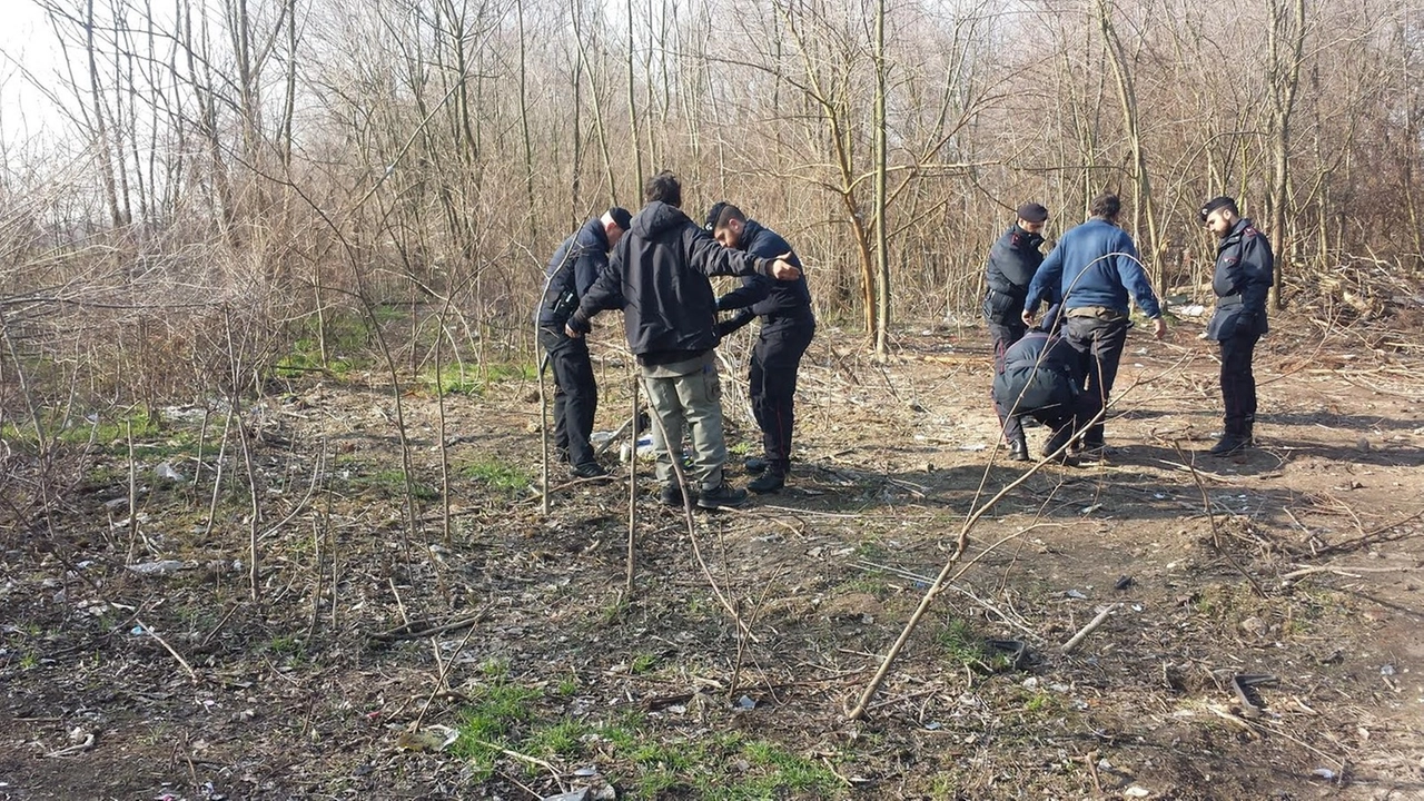 immagine di sfondo 6