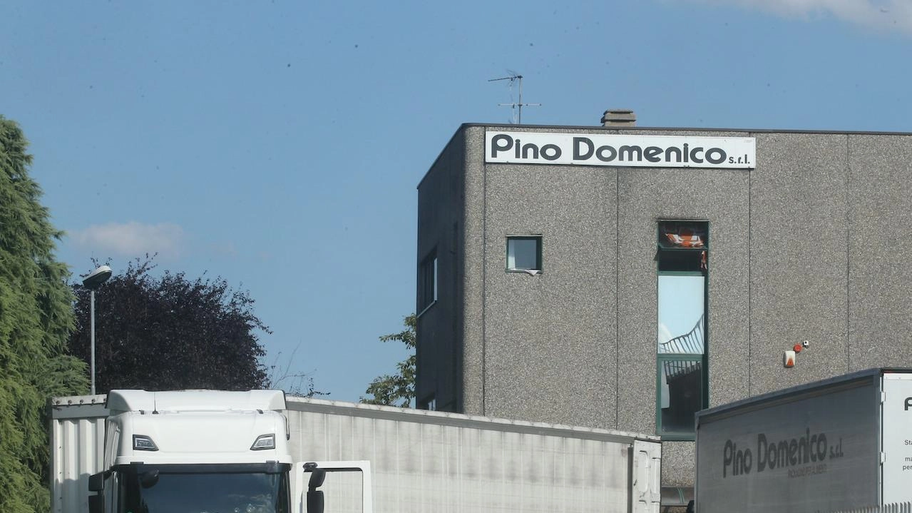 Schiacciato col muletto Travolto da un collega Schiacciato col muletto Travolto da un collega