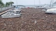 Il Lago Maggiore a Luino risale di livello ma i porti sono invasi da legname
Il Lago Maggiore a Luino risale di livello ma i porti sono invasi da legname