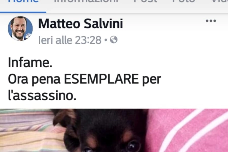 Il post di Matteo Salvini sul cane Zorro (Foto Twitter)