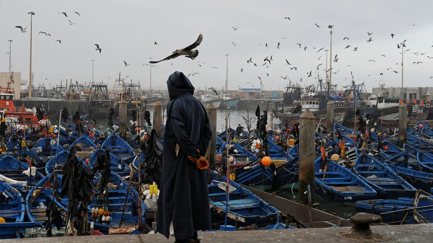 Il porto dei pescatori nella provincia costiera di Essaouira
