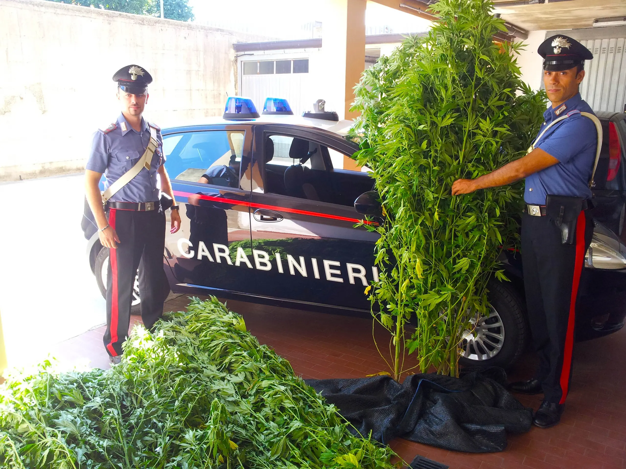 Serra per la Marijuana in casa: arrestato 19enne