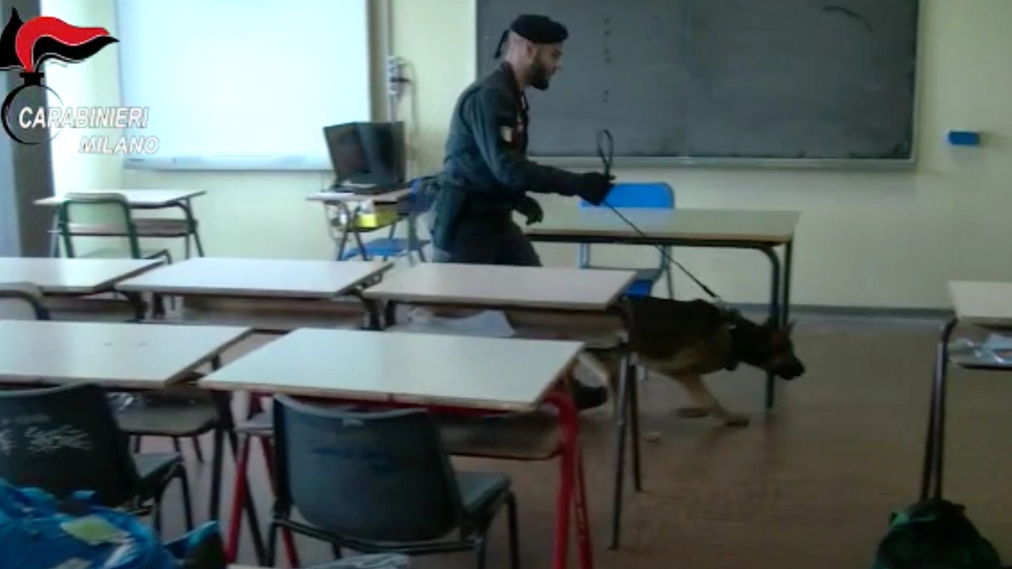 Controlli dei carabinieri a scuola con il cane antidroga