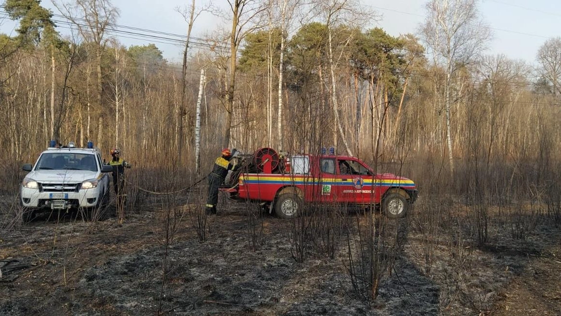 Il parco delle Groane brucia ancora  Un altro rogo, l’ombra dei piromani