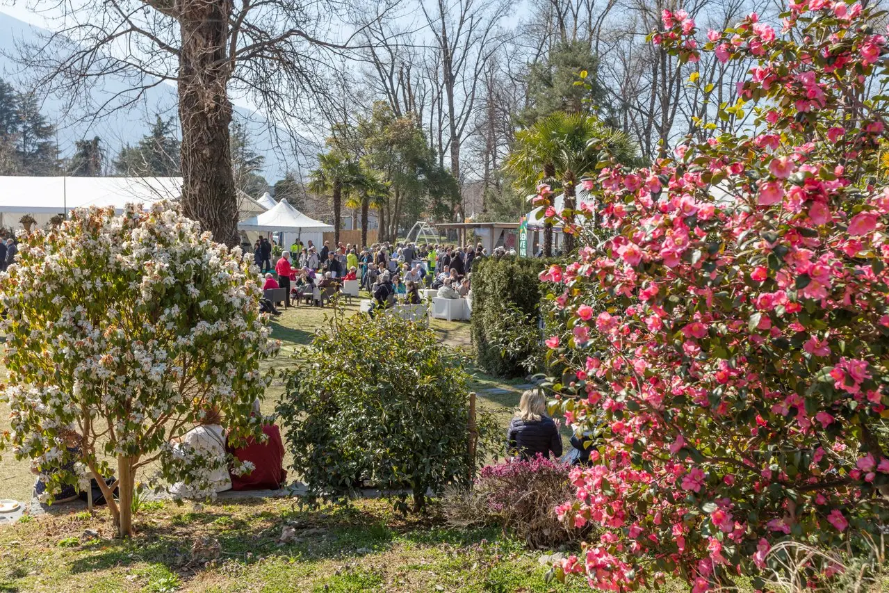 Parco delle Camelie di Locarno
