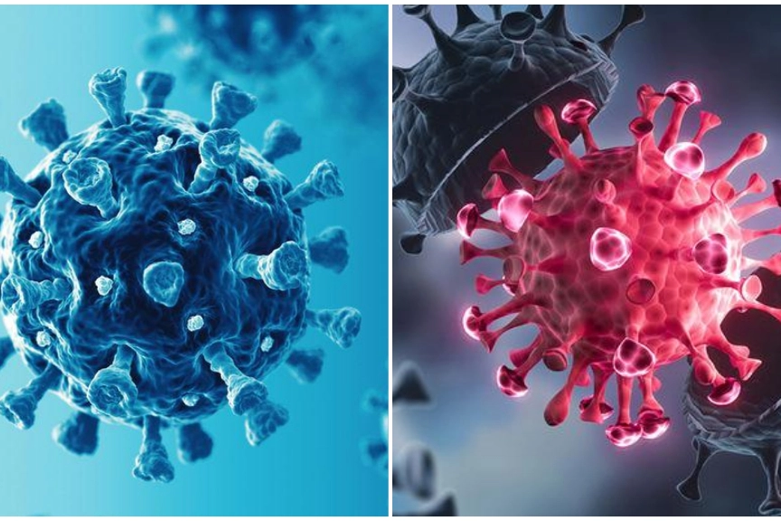 Variante Eris e variante Pirola: le nuove "versioni" del Covid