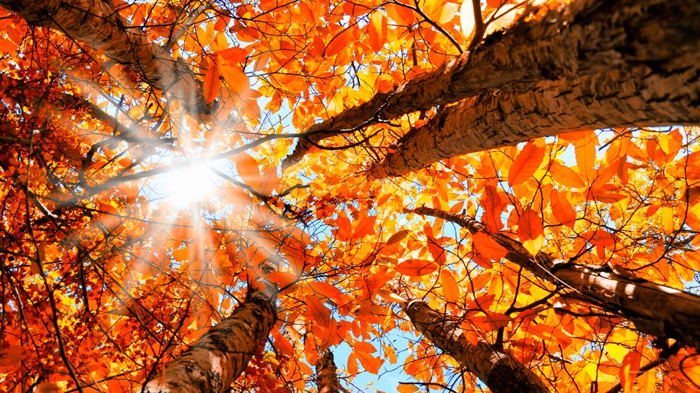 Una settimana con un meteo tipicamente autunnale Una settimana con un meteo tipicamente autunnale