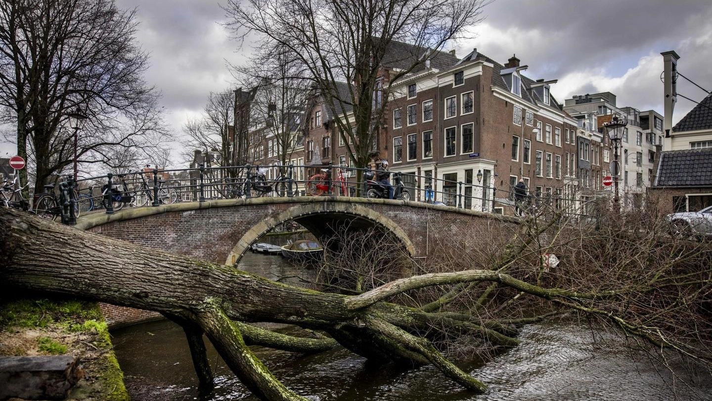 I danni di Eunice ad Amsterdam