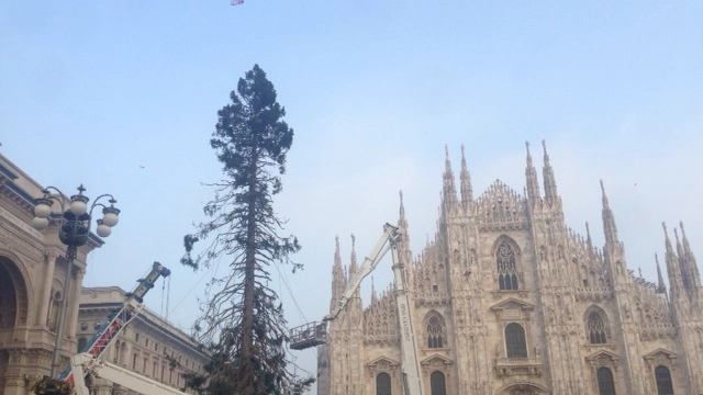 L'albero di Natale in piazza Duomo bersagliato dagli utenti di Twitter