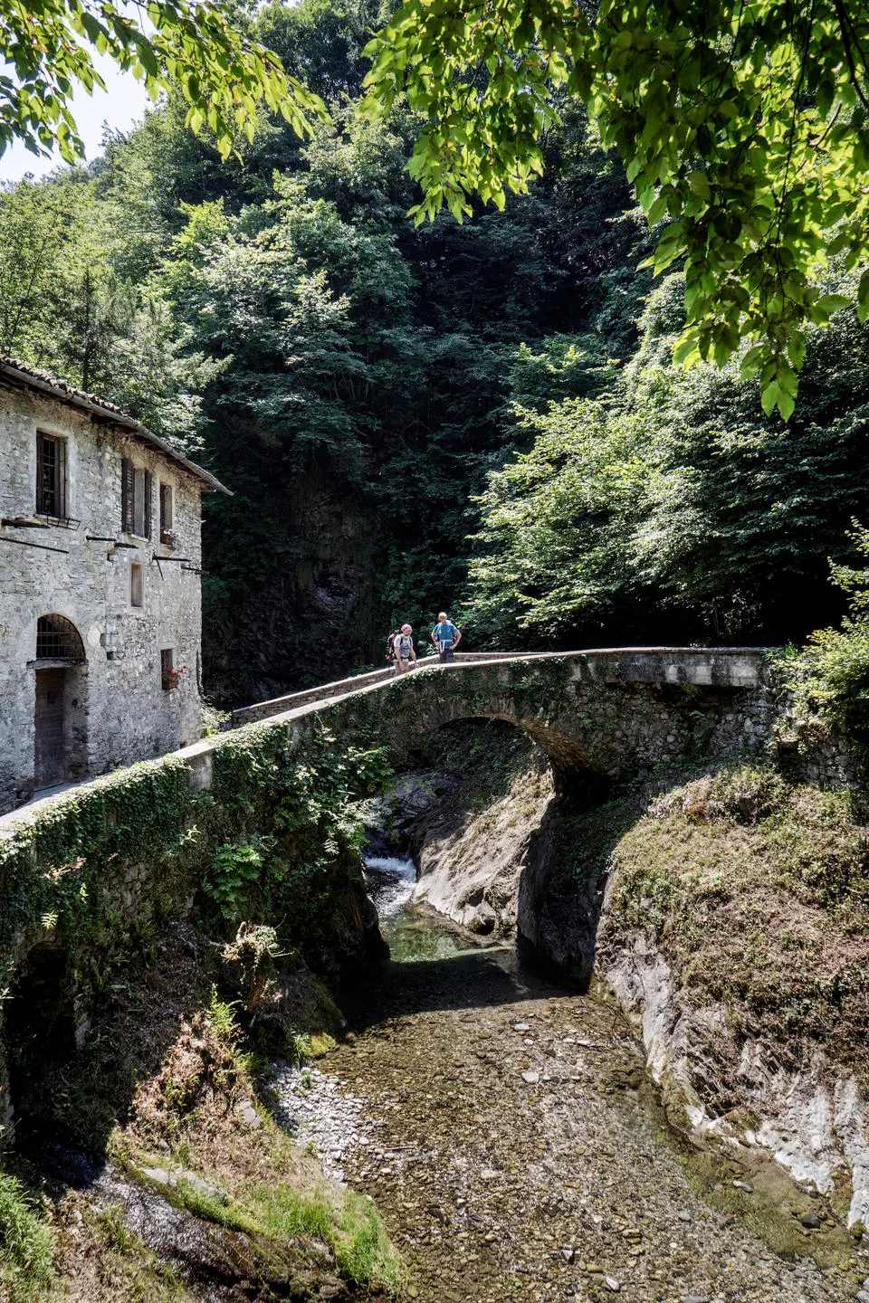 immagine di sfondo 7