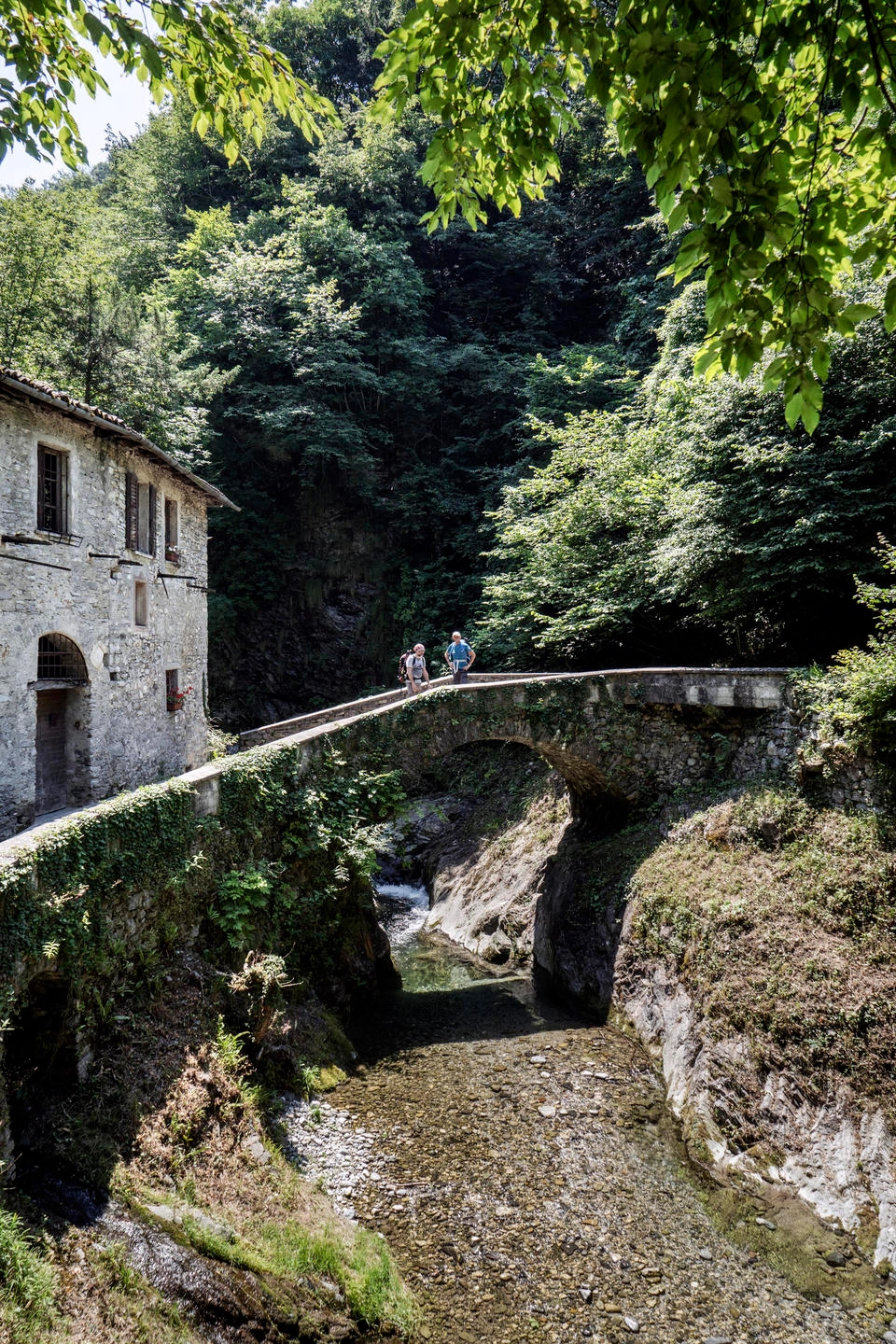 immagine di sfondo 7