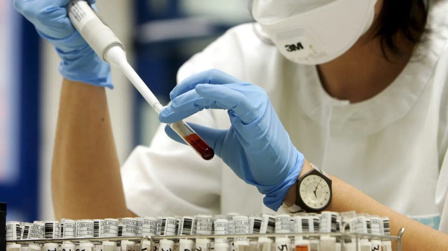 Zelo Buon Persico, focolaio di influenza aviaria in un allevamento di selvaggina