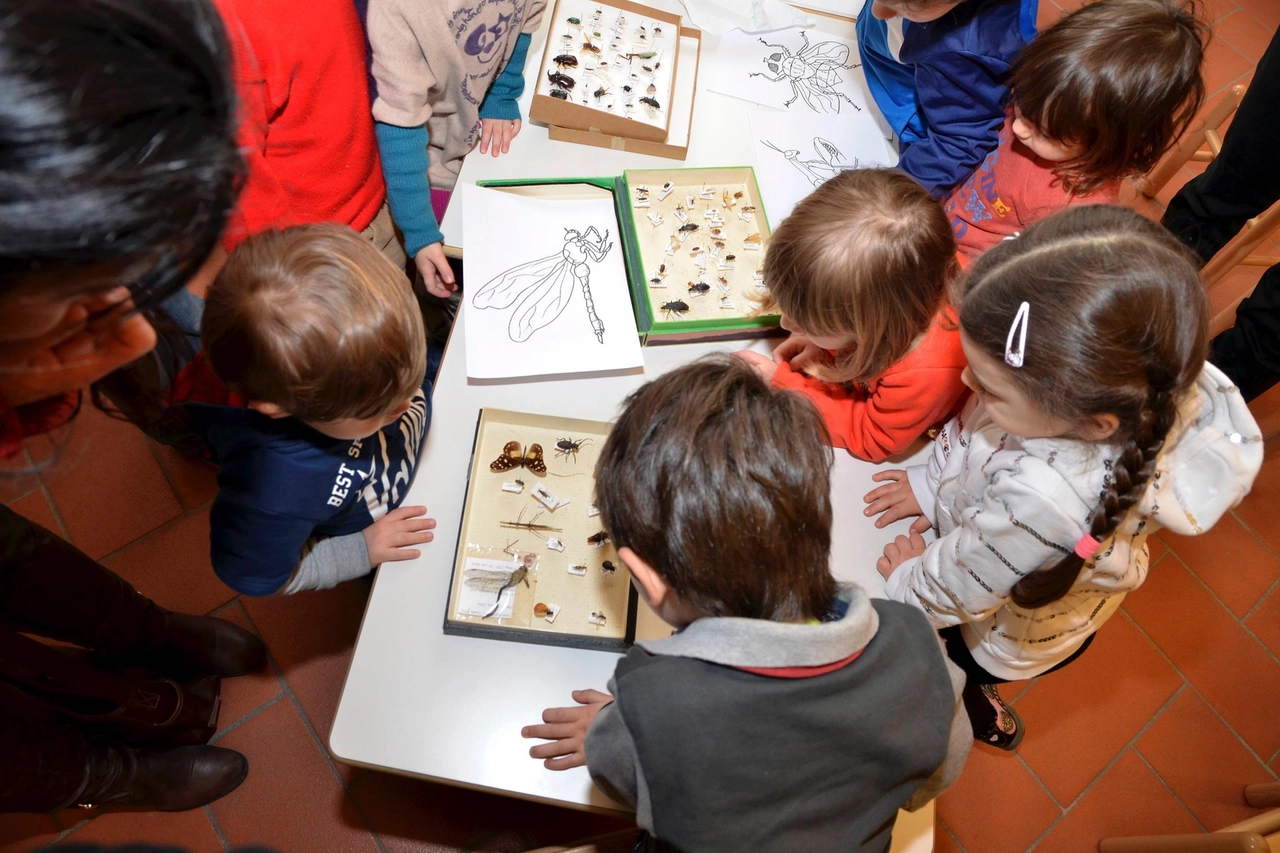 Laboratorio per bambini (Foto generica)