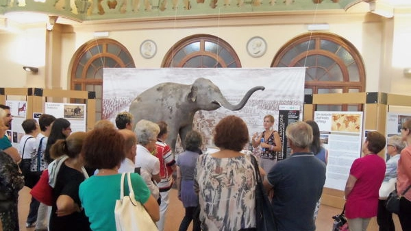 Pavia, sabato Shanti sarà protagonista al museo di storia naturale
