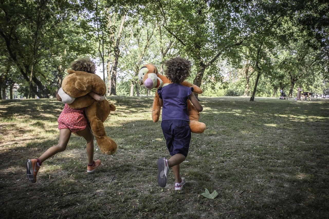 Peluche nel parco