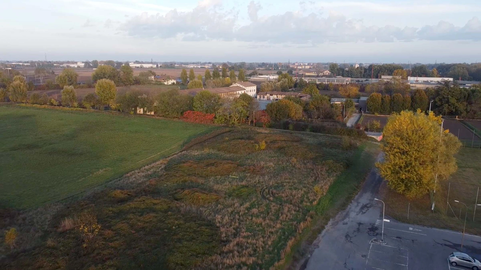 A Cremona nasce il Bosco delle Api: una food forest per contrastare gli effetti dei pesticidi
