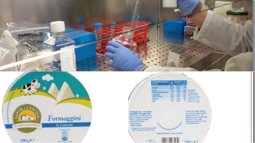 I formaggini ritirati per la possibile presenza di muffa in alcuni lotti di produzione I formaggini ritirati per la possibile presenza di muffa in alcuni lotti di produzione