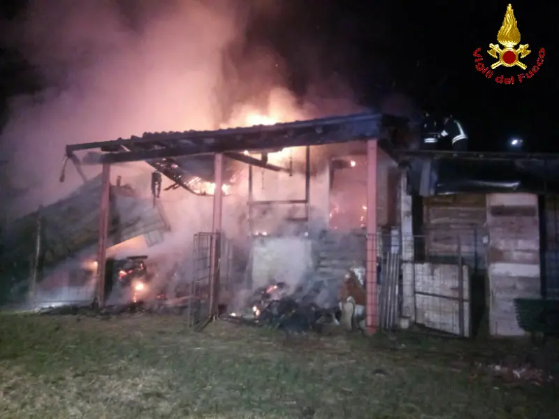 Carenno, stalla in fiamme: salvi tutti gli animali
