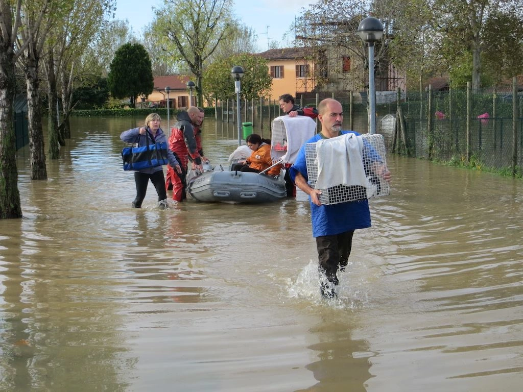 immagine di sfondo 1