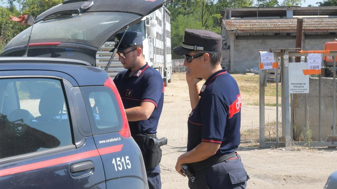 Salvato cane allo stremo. Padrona denunciata per maltrattamenti Salvato cane allo stremo. Padrona denunciata per maltrattamenti