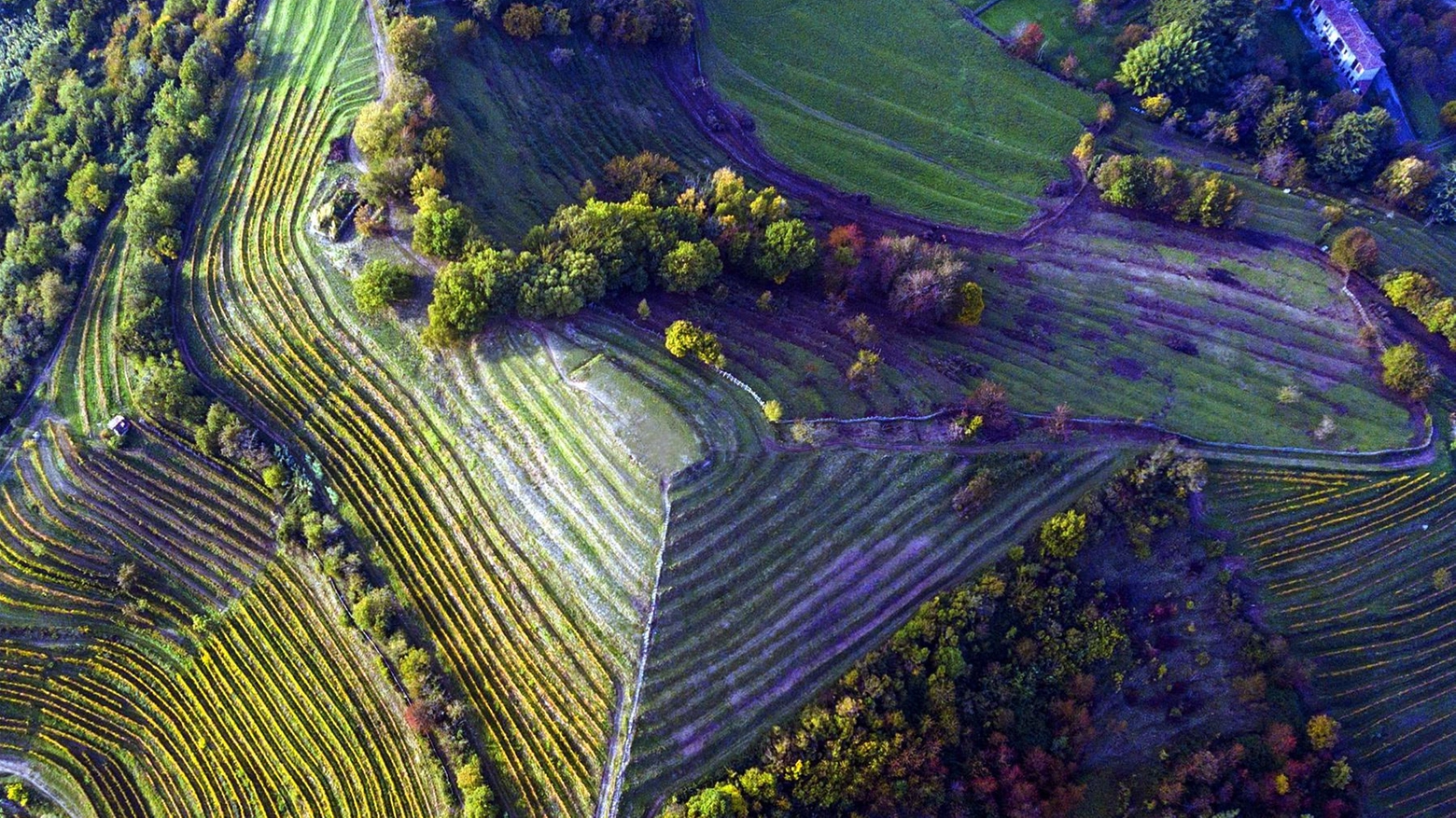 Visite al Parco della Val Curone "L’area non si difende coi divieti" Visite al Parco della Val Curone "L’area non si difende coi divieti"