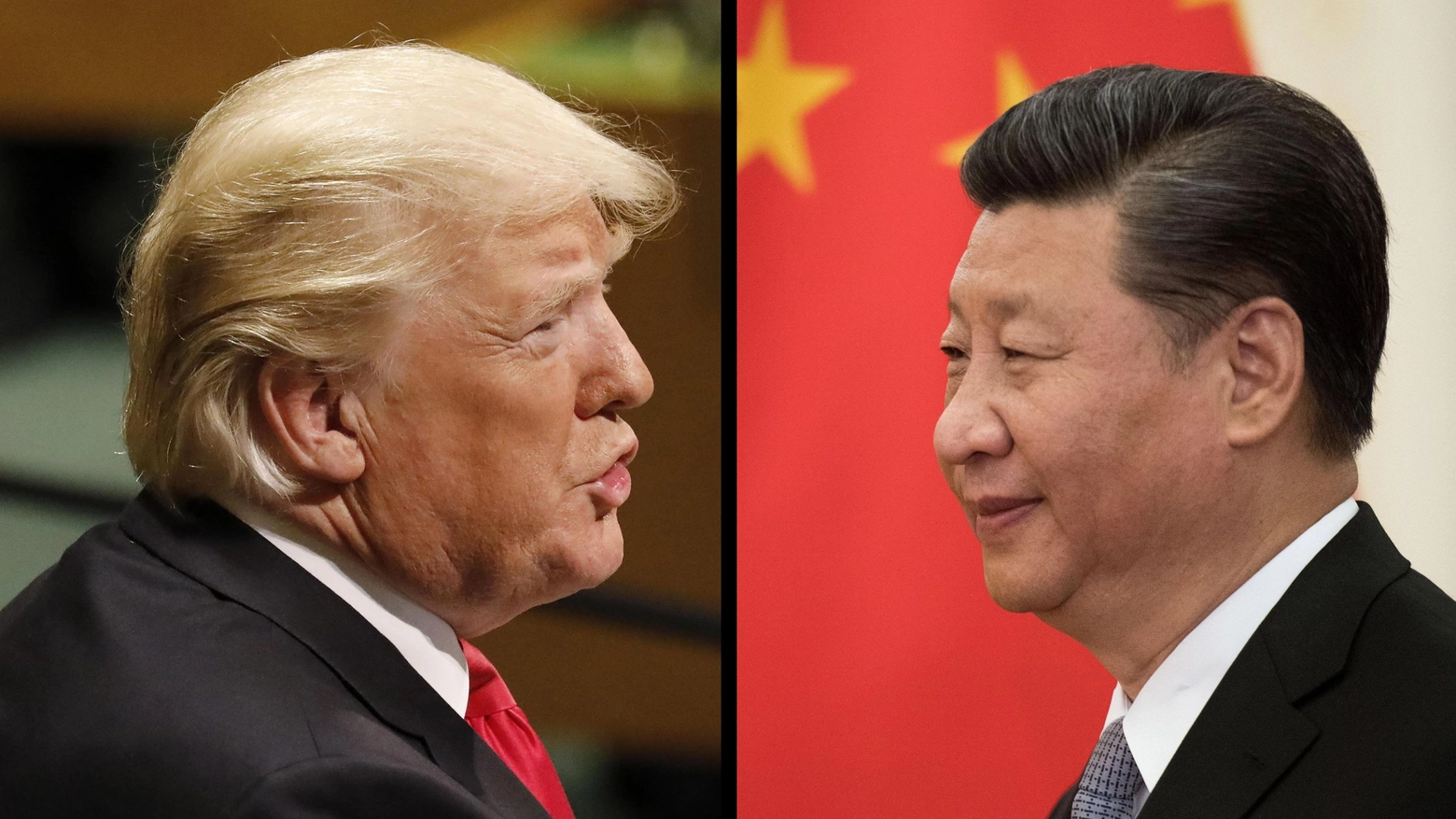 Donald Trump; Xi Jinping (Ansa)