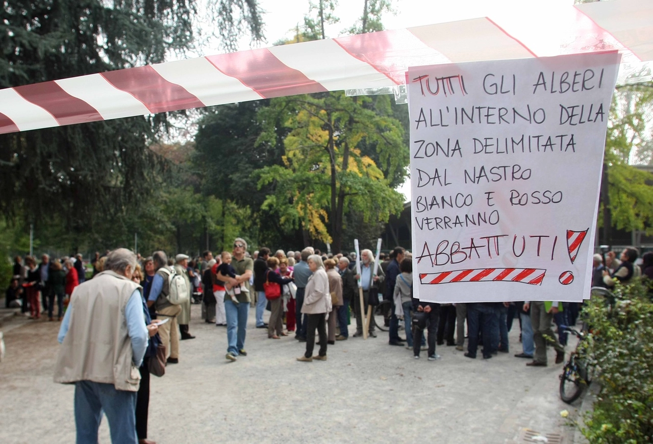 immagine di sfondo 9