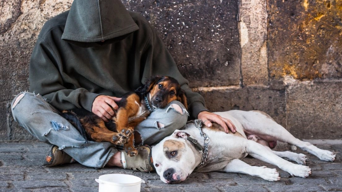 Un clochard con i suoi cani in una strada di Milano
