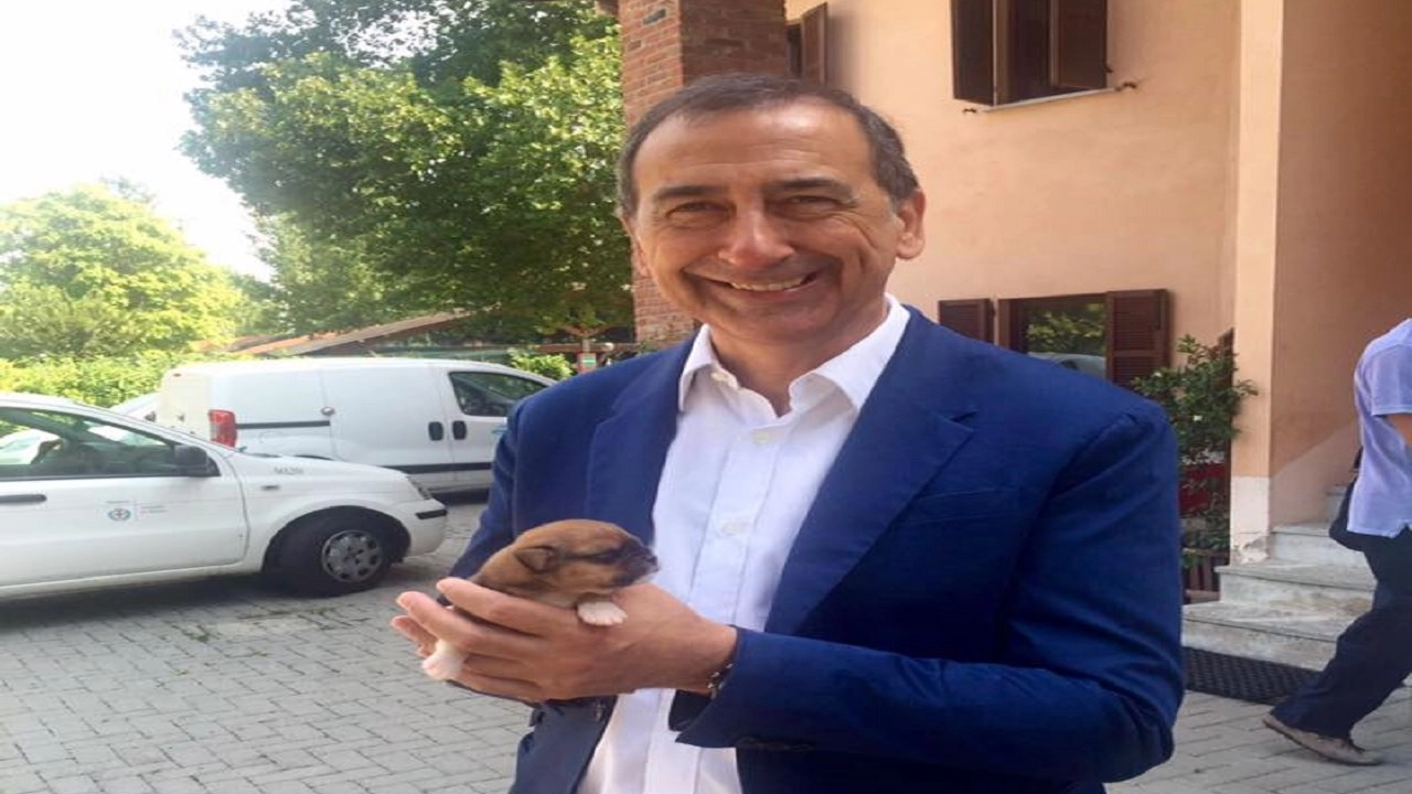 Giuseppe Sala in visita al canile di Milano (Twitter)