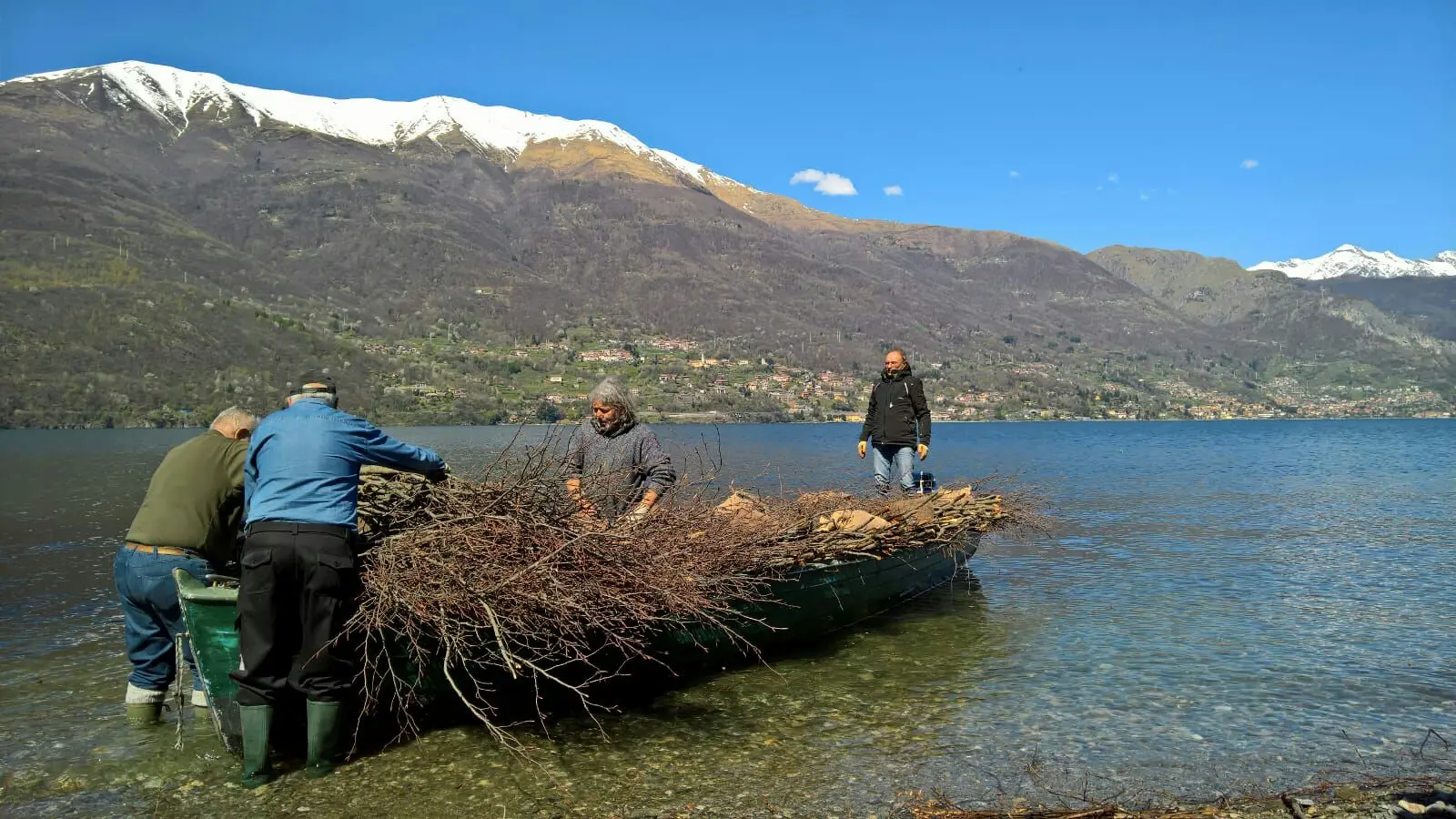 Lecco, cormorani, siluri bracconieri: i pesci del lago sono a rischio
