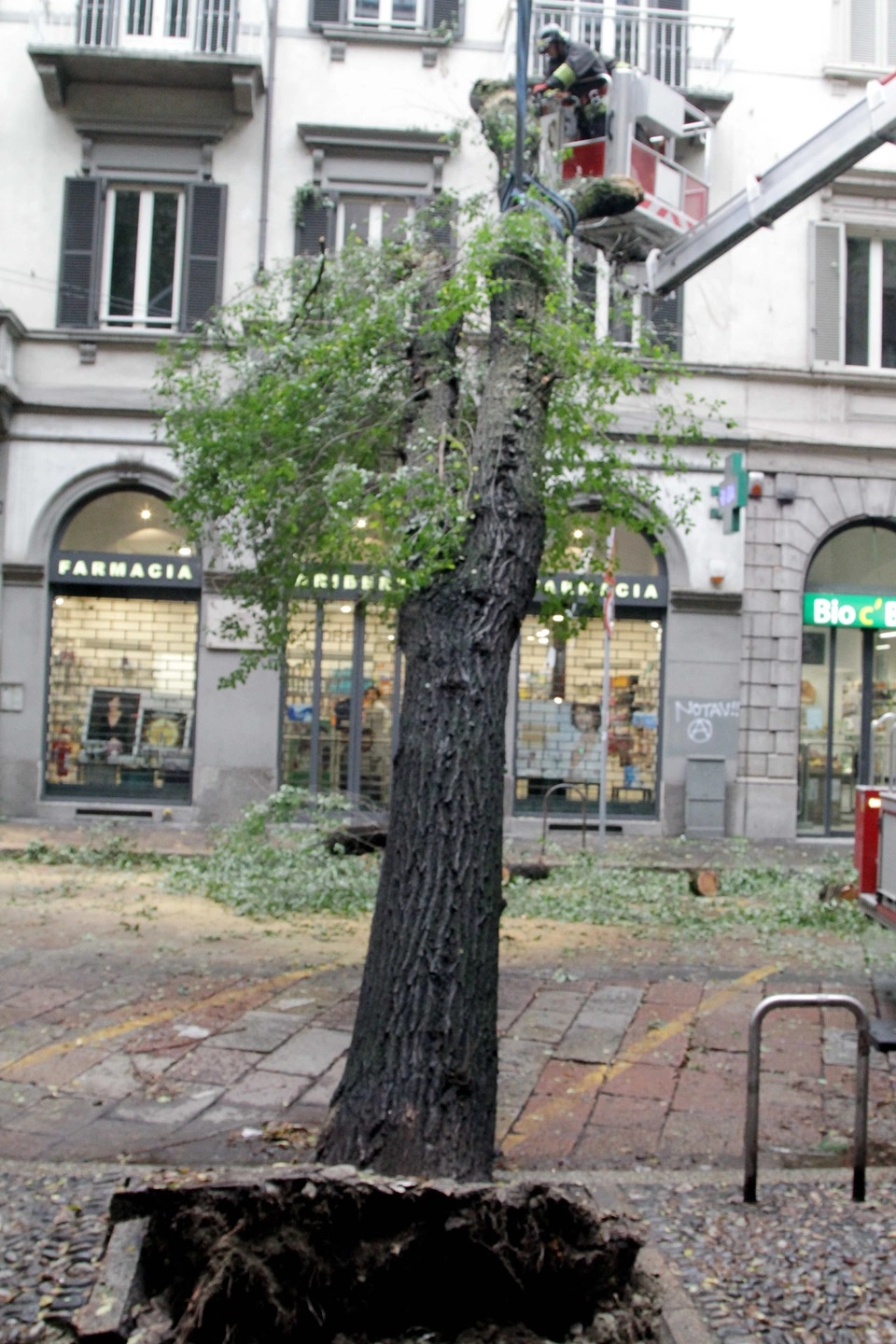 immagine di sfondo 6