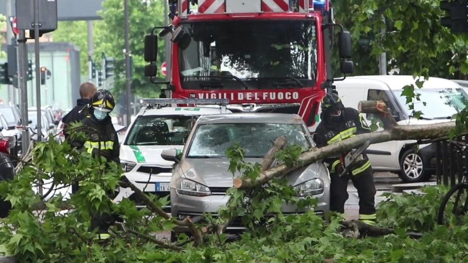 Maltempo a Milano, albero cade su un'auto in via Domodossola