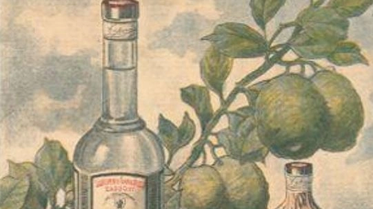 Un’antica pubblicità di liquori al cedro