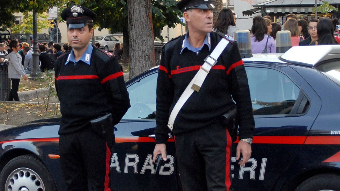 I carabinieri sono stati allertati dagli stessi padroni di casa quando si sono accorti del furto